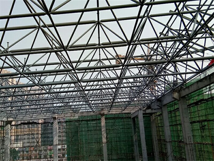大安光谷第十一小学网架